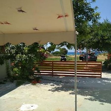 Kitesurf Paradise Studios Theológos Exterior foto